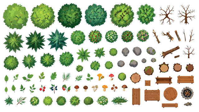 Trees Top View Set Forest Nature Landscape Elements Collection