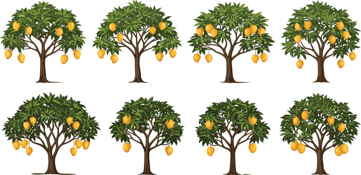 Mango trees collection with ripe yellow fruits, tropical orchard plants set with leafy branches isolated on light background realistic vector illustration