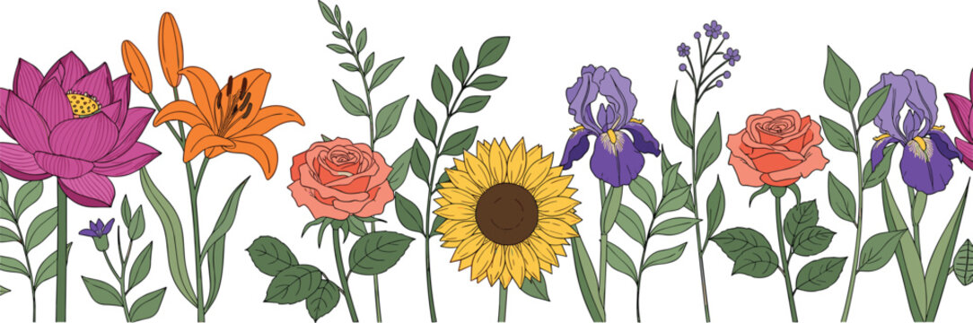 Elegant garden flower border with sunflower lily iris rose and wildflowers hand drawn vector illustration isolated botanical horizontal composition