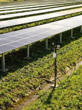 Solar panels in a field elevated above green crops and irrigation for agrivoltaic research, renewable energy innovation and sustainable technology case studies