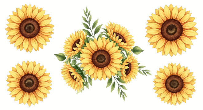 Watercolor sunflower set with four individual yellow flower heads and a central bouquet with green leaves, hand painted botanical illustration isolated on white background.