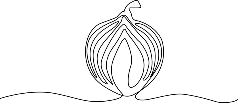 Cut onion with layers peeled back in simple line art Vector