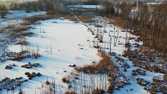 Winter drone flyover over a frozen swamp and alder forest.