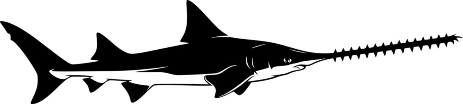 Black Sawfish Silhouette isolated on white background
