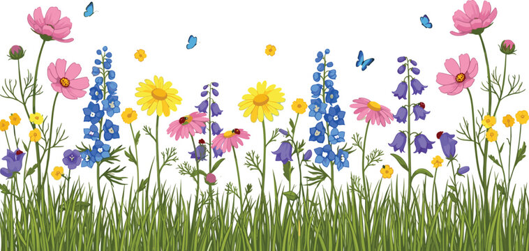 Beautiful Wildflower Meadow Border Featuring Colorful Daisies, Cosmos, Bluebells, and Delphiniums with Butterflies for Spring Nature Backgrounds and Floral Greeting Card Illustrations