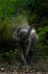 Hello!!!!! © The Wild Librarian