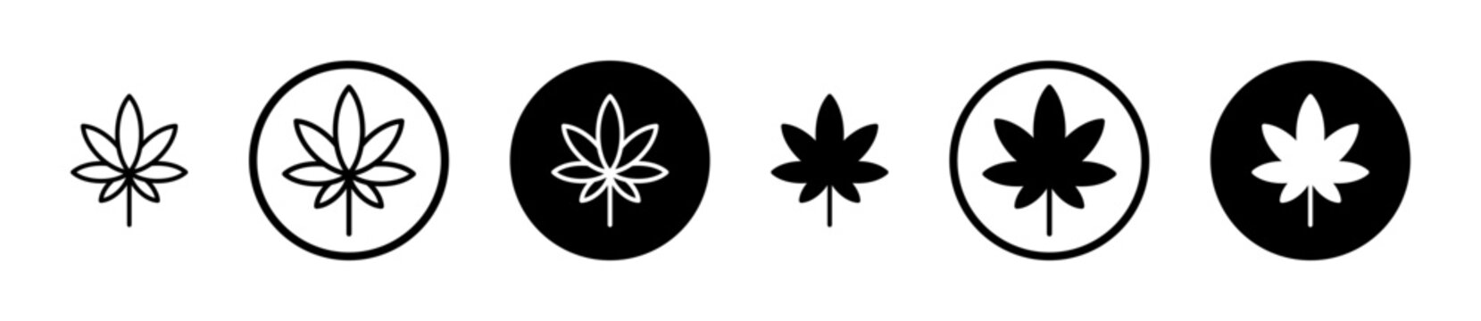 Cannabis icon, template for graphic or web design. vector illustration