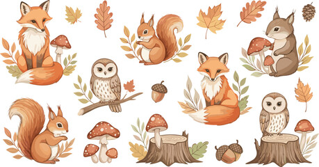 Naklejka premium Cute woodland animals vector collection featuring fox squirrel owl rabbit mushrooms leaves and autumn forest nature illustration set