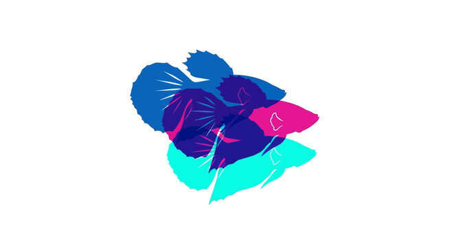Abstract Betta Fish Overlap, Vibrant Blue, Pink, Cyan Colors, Minimalist Design