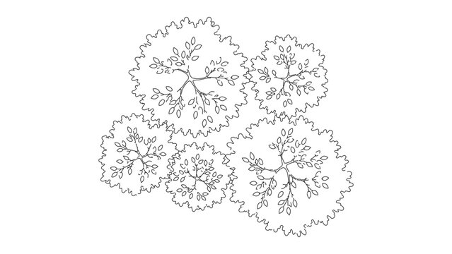 Vector tree top view isolated on white background for landscape plan and architecture layout drawing, elements for environment and garden