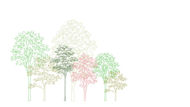 Architectural Drawings, Minimal style cad tree line drawing, Side view, set of section wetland forest outline for landscape design drawing. Vector illustration in seperate element