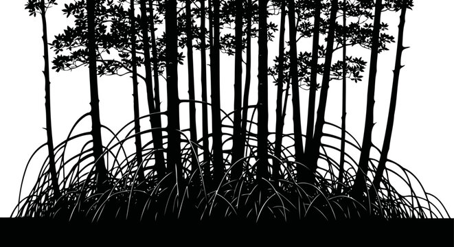 Mangrove forest silhouette showing complex aerial root system