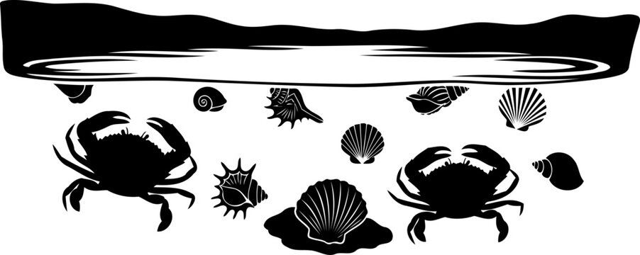 Marine life scene featuring crabs and seashells silhouette