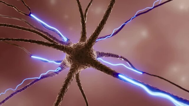 Inside human nerve fibers, electrical signals flowing along neurons