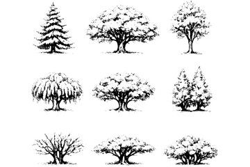 Fototapeta premium Landscape Tree Symbols – Realistic Hand Drawn Collection
