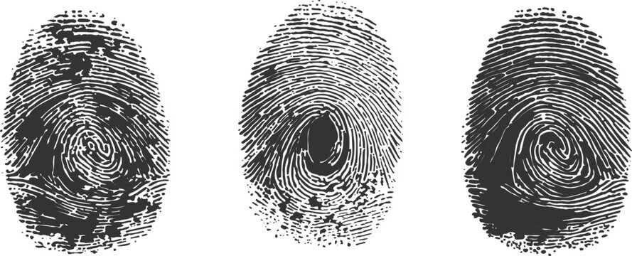 Detailed realistic human fingerprints with distressed grunge texture and biometric scanning concept vector illustration.