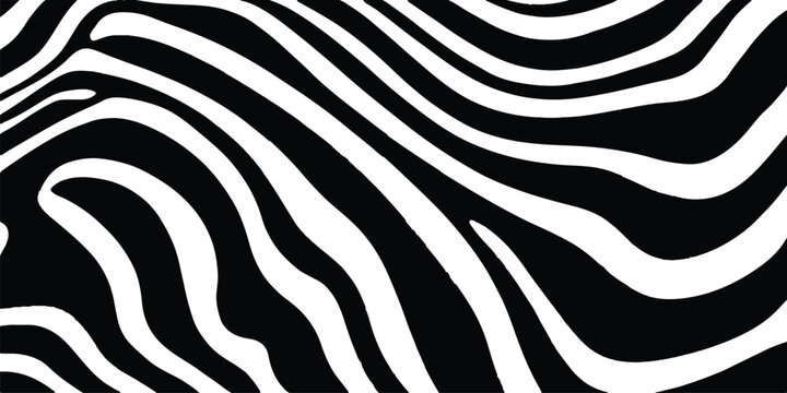 Abstract black and white wavy pattern background with organic fluid lines and zebra stripes vector illustration. 