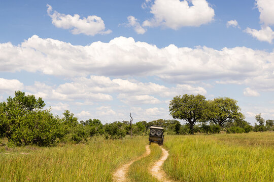 safari vehicle driving in the, Okavango Delta, Botswana, Africa