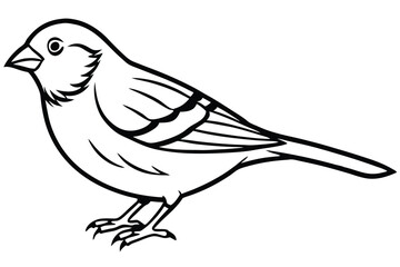 Obraz premium finch bird silhouette line art vector illustration with a white background
