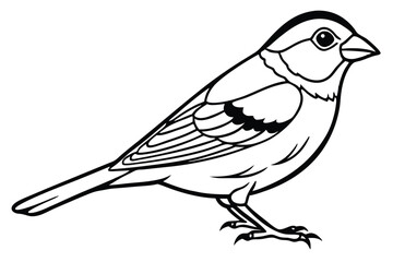 Obraz premium finch bird silhouette line art vector illustration with a white background
