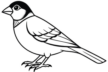 Obraz premium finch bird silhouette line art vector illustration with a white background