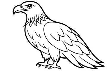 Fototapeta premium eagle bird silhouette line art vector illustration with a white background