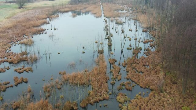 Low altitude drone flyover over marshy wetlands and grass tussocks.