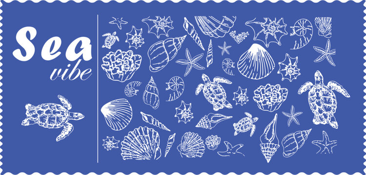 sea turtle coral and shell sketches marine theme