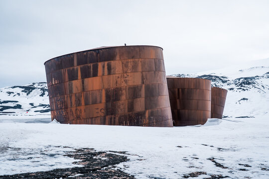 View of rusted whale oil tanks at Deception Island surrounded by snow-covered mountains and volcanic sand Antarctica.