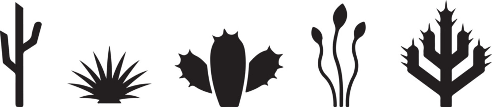 Black silhouette desert plants on white background