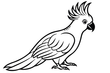 Obraz premium cockatoo bird silhouette line art vector illustration with a white background