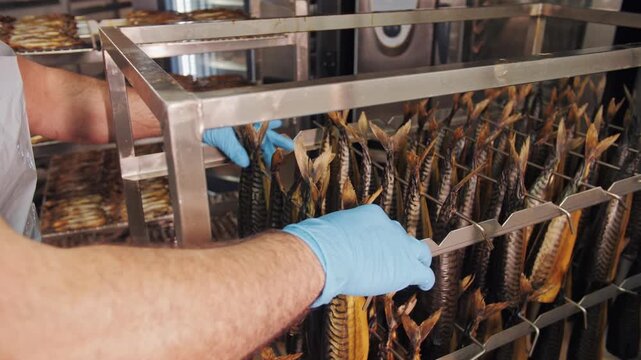 Worker carrying metal tray with smoked fish in factory