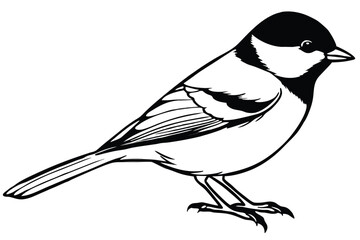 chickadee bird silhouette line art vector illustration with a white background © pipp99