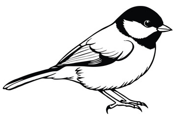 chickadee bird silhouette line art vector illustration with a white background © pipp99