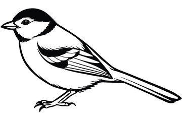 chickadee bird silhouette line art vector illustration with a white background © pipp99