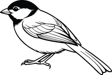 chickadee bird silhouette line art vector illustration with a white background © pipp99