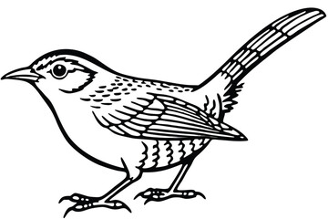 Obraz premium carolina wren bird silhouette line art vector illustration with a white background
