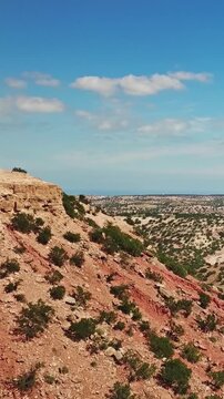 Aerial view on mountains with argan trees in their natural habitat - in Morocco. Vertical video