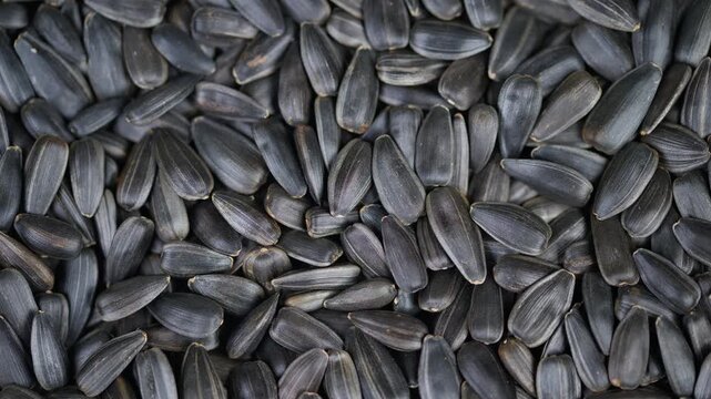 Sunflower seed closeup. Highresolution macro image of sunflower shells. Rustic styled macro photograph highlighting dense pile of dark sunflower shells for branding