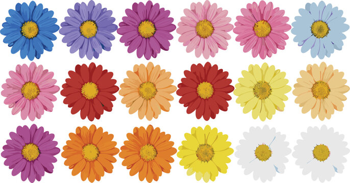 Colorful Daisy Flower Collection Set Realistic Blooming Gerbera with Yellow Center in Multiple Colors Vector Illustration for Spring Floral Design