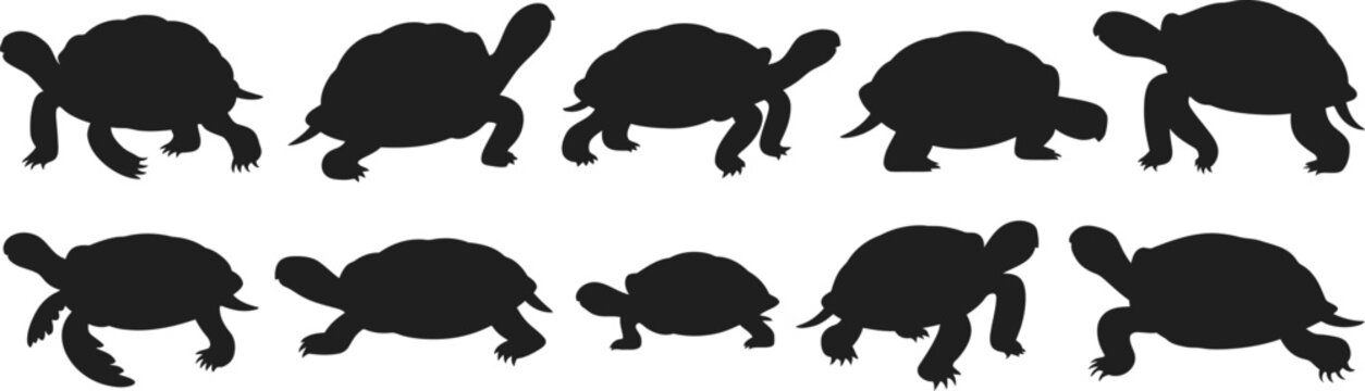 Collection of black silhouettes of tortoises in various walking and standing poses on a white background