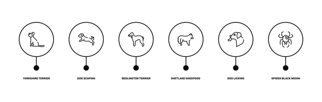 insects outline icon set featuring yorkshire terrier, dog scaping, dog licking, spider black widow icons.