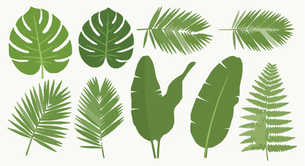 Green tropical leaves flat lay vector collection monstera palm banana foliage isolated on white background © Md