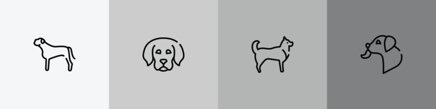 dog and training outline icon set featuring bullmastiff, dog puppy, husky, dog licking icons.