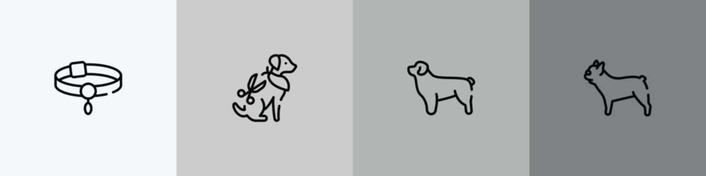 dog breeds fullbody outline icon set featuring pet collar, grooming pet, newfoundland, french bulldog icons.