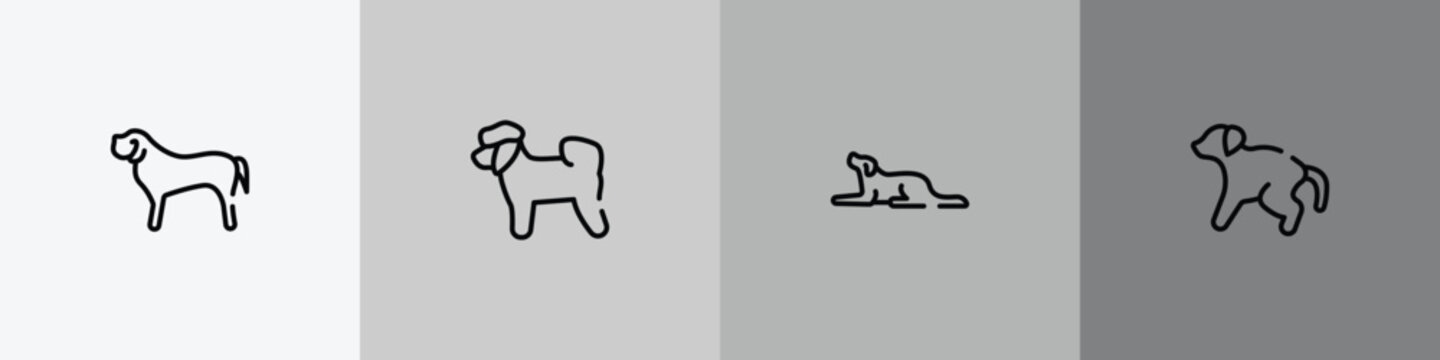 dog and training outline icon set featuring english mastiff, bichon, border collie, scold the dog icons.