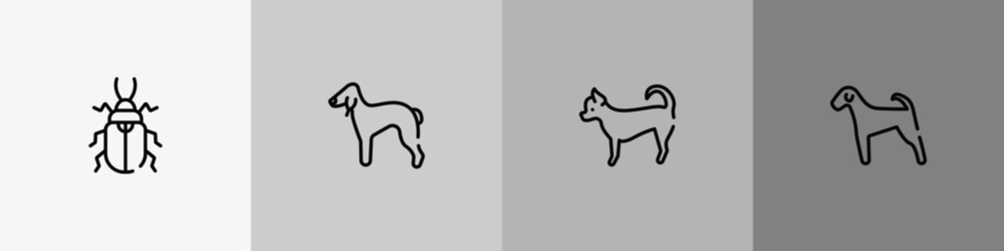 dog breeds fullbody outline icon set featuring pollen beetle, bedlington terrier, chihuahua, airedale icons.