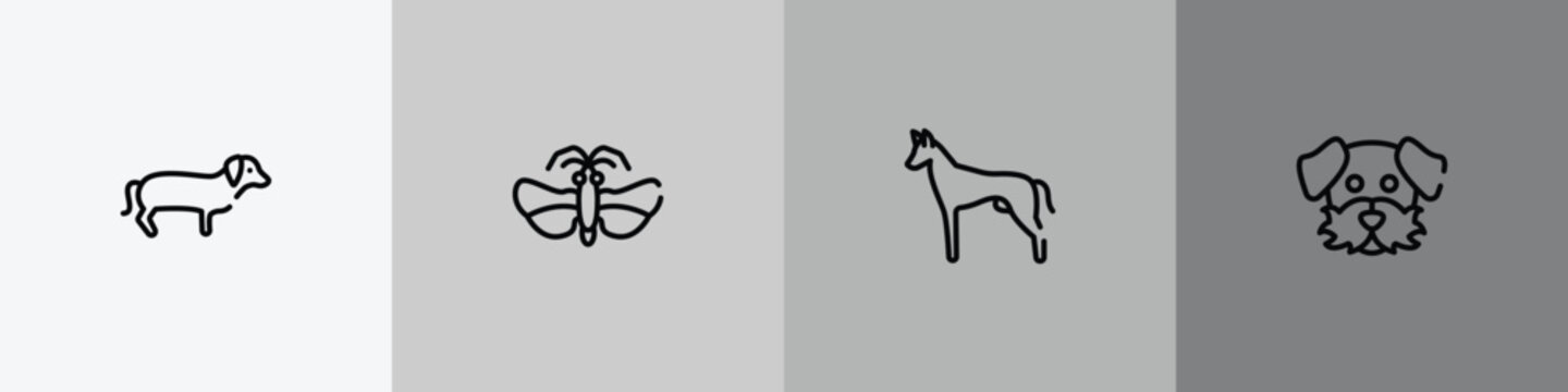 dog and training outline icon set featuring dachshund, null, pharaoh hound, dog moustache icons.