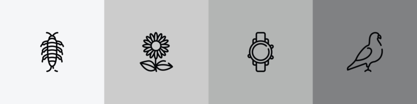 animal outline icon set featuring silverfish, sunflowers, diving watch, pigeon icons.
