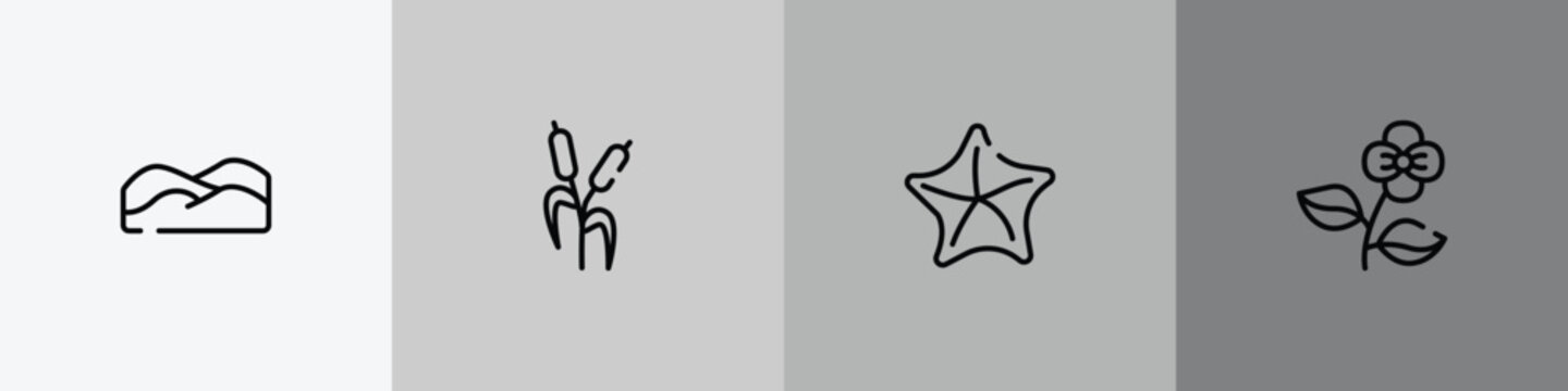 desert outline icon set featuring dunes, bulrush, starfish, poppy icons.